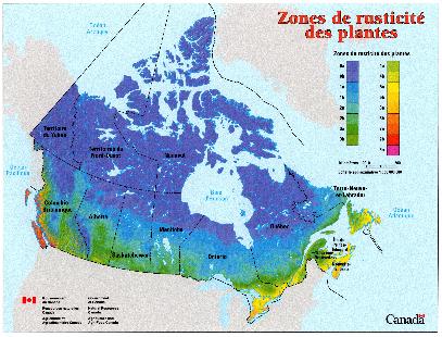 Zones de rusticité des plantes au Canada